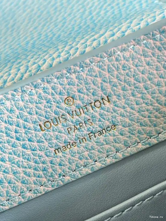Affordable VUITTON CAPUCINES MINI LOUIS 0602